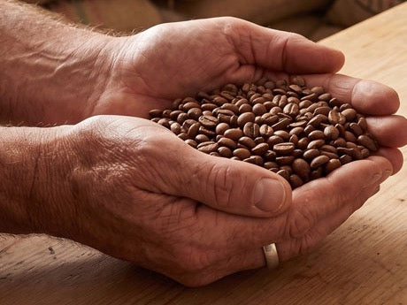 Two hands holding a pile of roasted coffee beans